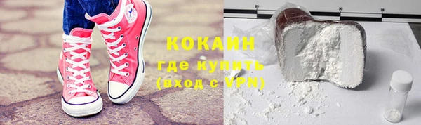 индика Ладушкин