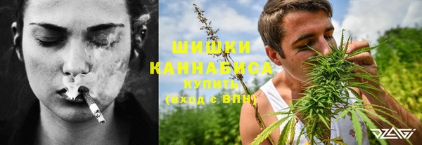 индика Ладушкин