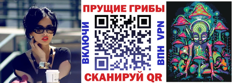 Купить закладки Андреаполь Галлюциногенные грибы ЛСД